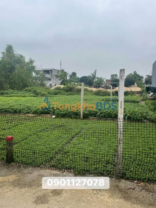 Đất Nền Điện Dương, Quảng Nam - 157m² Hướng Đông Nam, Giá Đầu Tư Hấp Dẫn