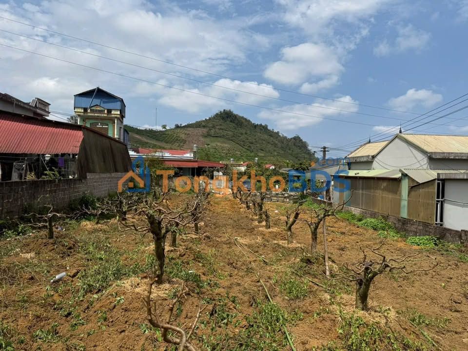 Đất Lương Sơn 1300m² Mặt Tiền 16m - Giá Tốt Chỉ 2.6 Tỷ