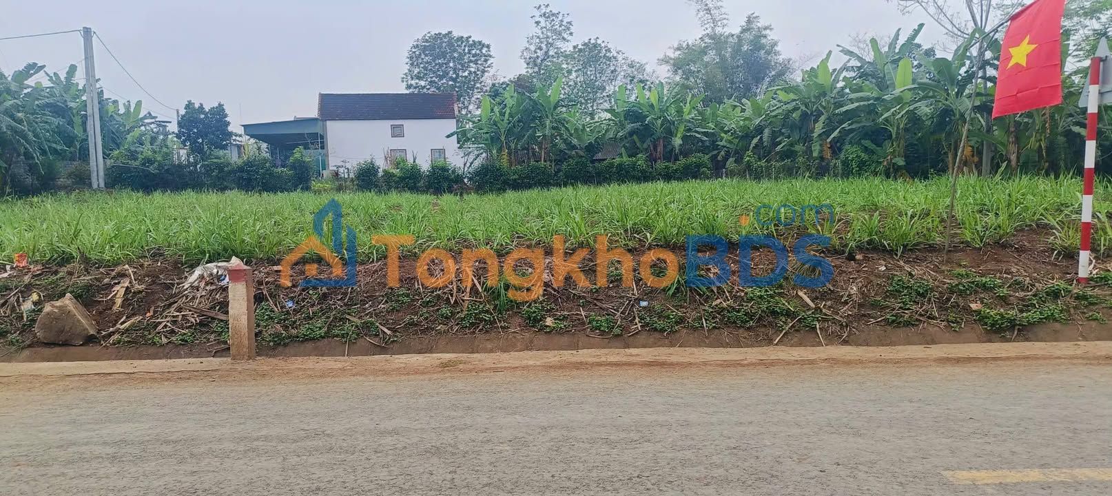 Mặt Tiền Kinh Doanh Tây Hiếu - 259m² Giá Tốt