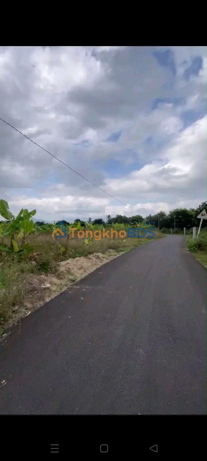 Bán Đất Vườn 1611m² Mặt Tiền 54m Đường Nhựa Lớn - Giá 4.9 Tỷ