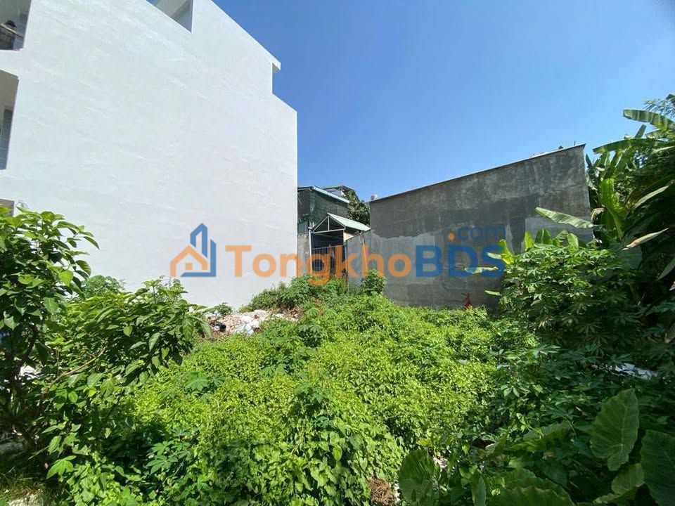 Bán Đất Hẻm Thông Tứ Trung, Nhà Bè 60m² - Sổ Hồng Riêng