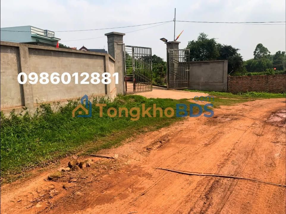 Đất nền 650m² Thanh Lâm, Hải Dương - Sổ đỏ vuông vắn, đầu tư sinh lời