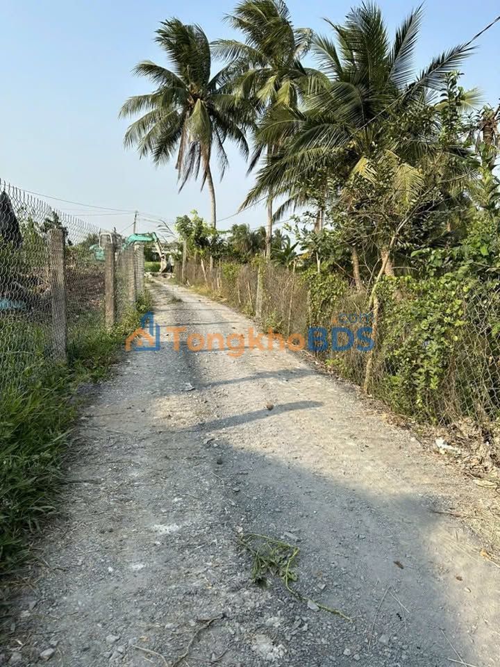 Đất nền 123m² Xã Nhựt Tảo, Long An - Giá 380 Triệu Chốt Nhanh