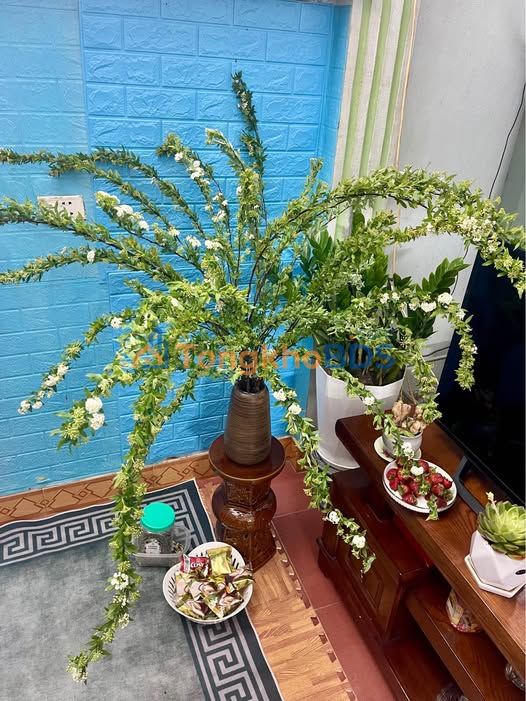 Bán Đất Giải Phóng, Nam Định 128m² - Lô Đôi Giá 2.55 Tỷ