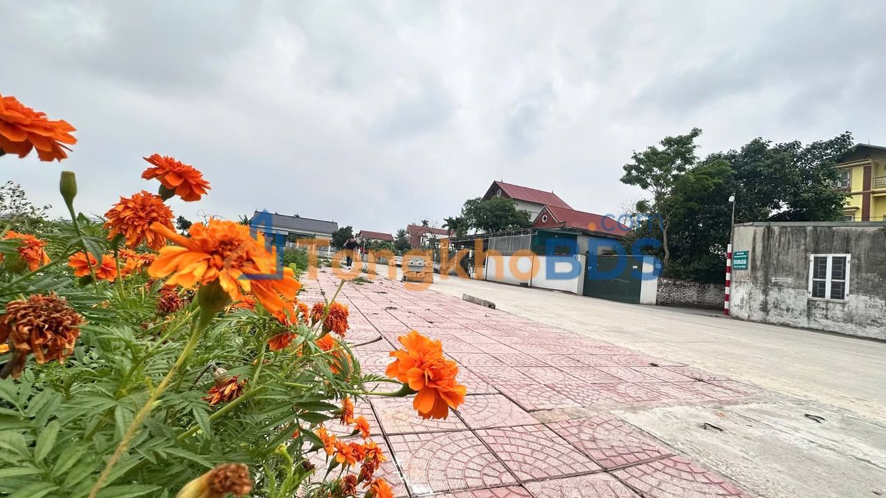 Đất đấu giá Hội Thịnh 100m² - Sổ đỏ chính chủ, giá 2 tỷ xx