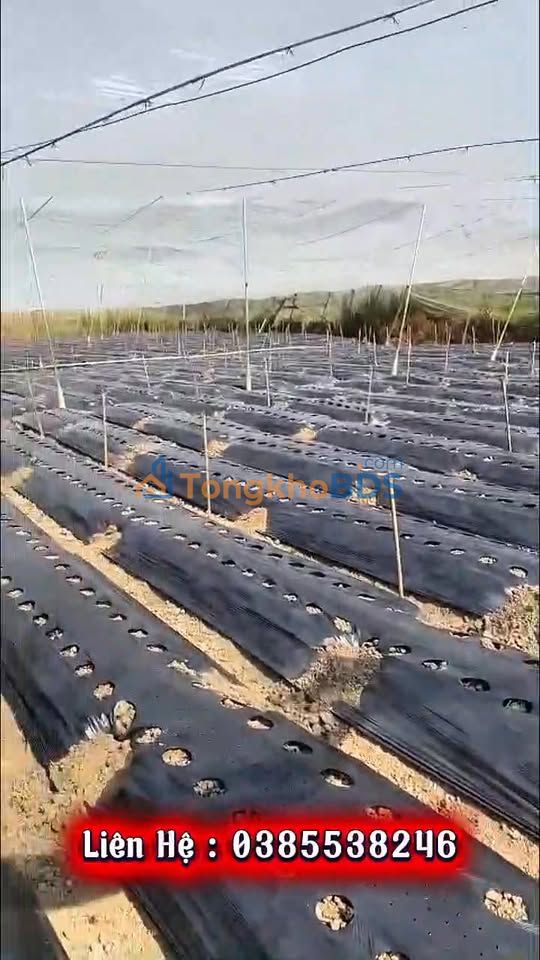 Đất Nền Lạc Bình, Đơn Dương - 2600m² Cạnh QL27, Giá 1.43 Tỷ