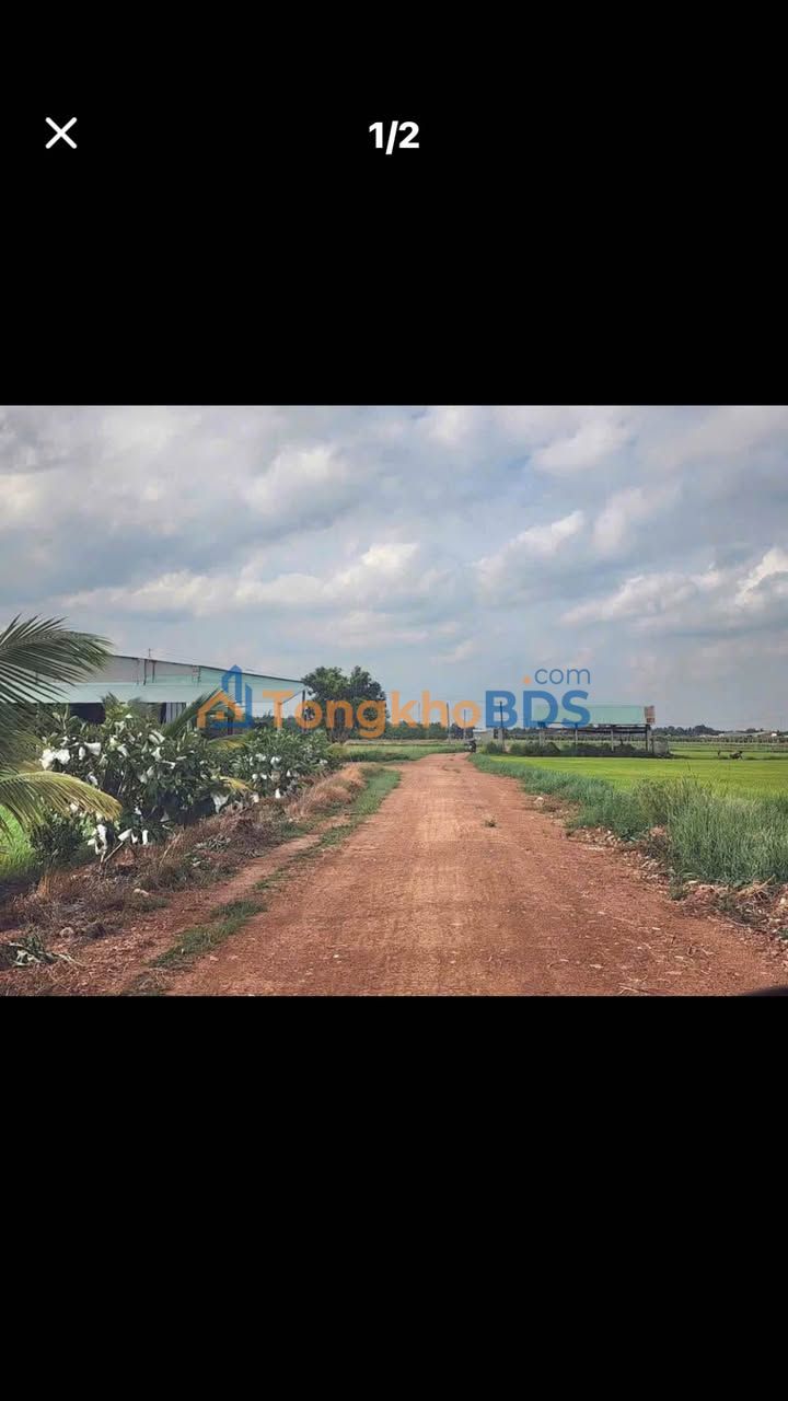 Bán Đất Thạnh Lợi 160m² - View Núi, Ô tô Tới Đất - 2.3 Tỷ