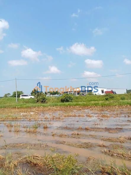 Đất Vườn Kiên Giang 2874m² Sổ Hồng - Giá Đầu Tư 1.5 Tỷ