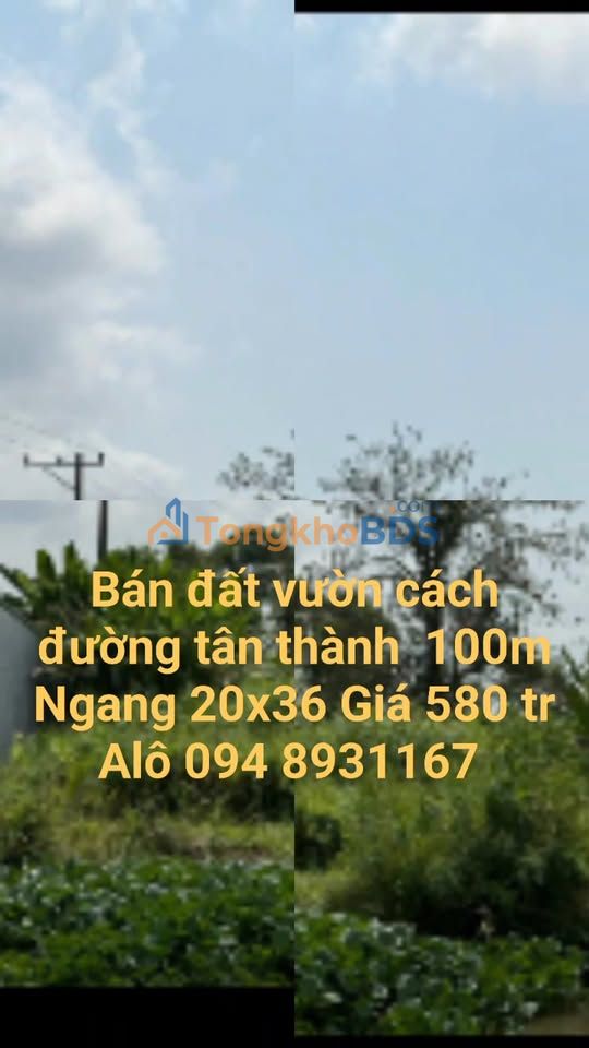 Đất Vườn Minh Tân, Kiên Giang - 720m² Giá Chỉ 580 Triệu