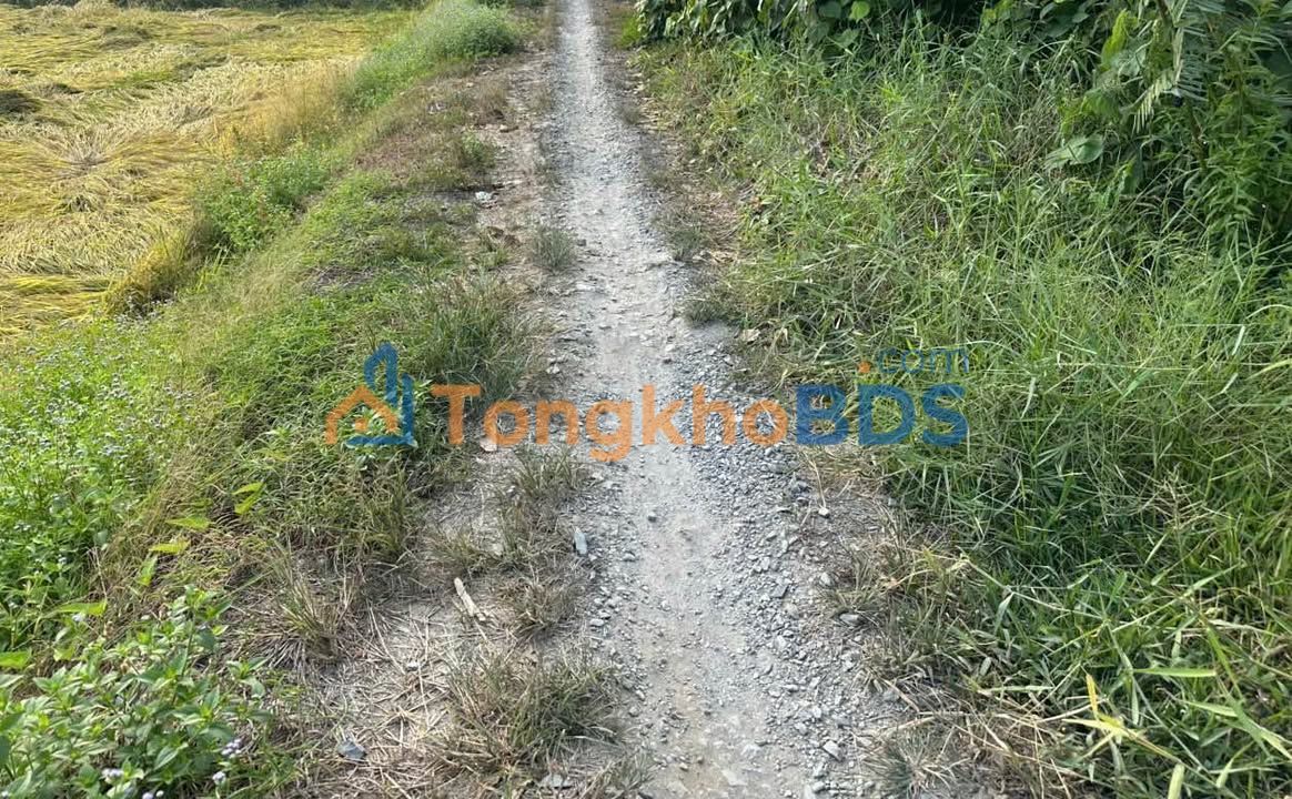 Đất Vĩnh Long 1000m² Mặt Tiền Sông - Giá 350 Triệu