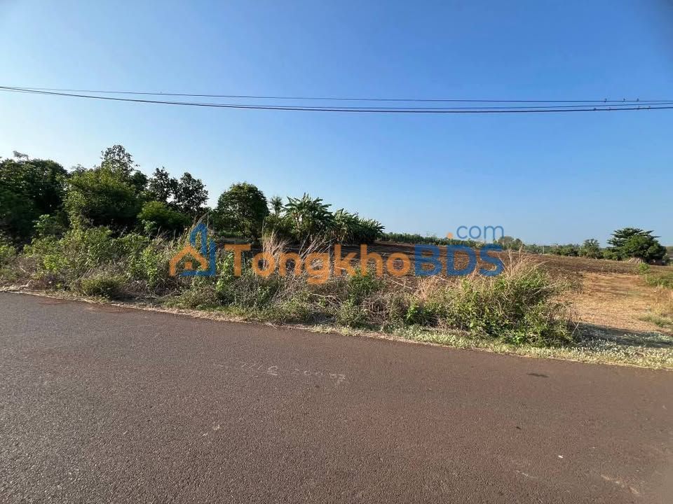 Bán Đất Vườn Nghĩa Thành 1029m² Sổ Hồng Riêng - Giá Đầu Tư 1.85 Tỷ