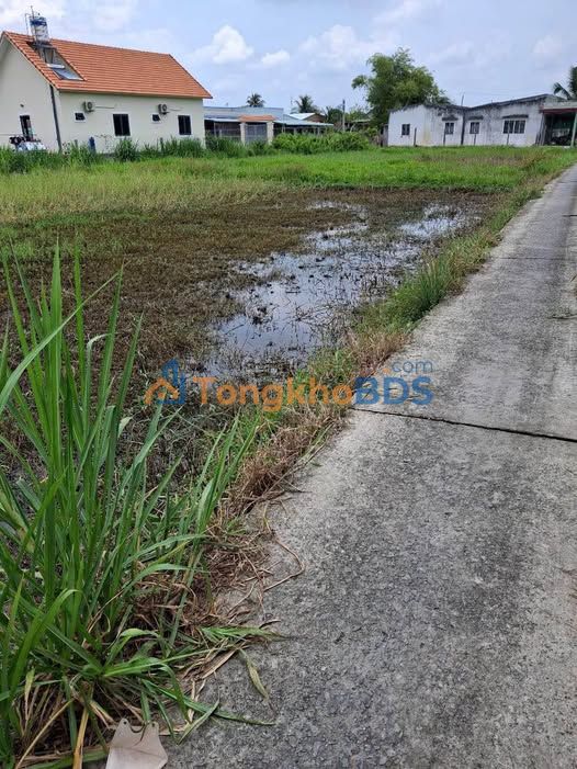 Bán Đất Vườn 500m² Tỉnh Long An - Giá 750 Triệu Chính Chủ