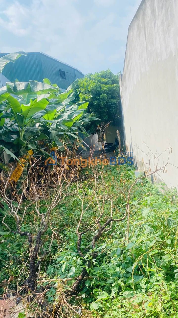 Đất nền Nông Cống, Thanh Hóa - 48m²/lô, giá nhỉnh 1 tỷ/lô