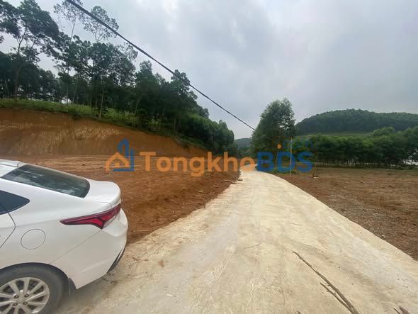 Đất Vườn Phú Thọ 3000m² - Giá 900 Triệu - Sổ Đỏ Thổ Cư