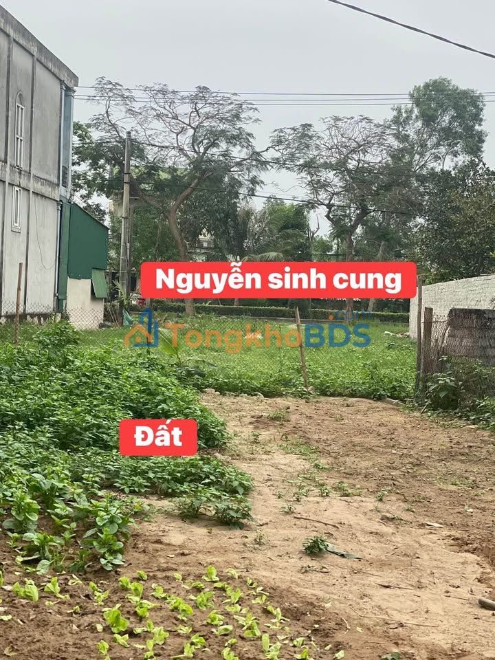 Đất biển Cửa Lò 81.8m² - Lối 2 Nguyễn Sinh Cung, Sở hữu ngay hộ khẩu