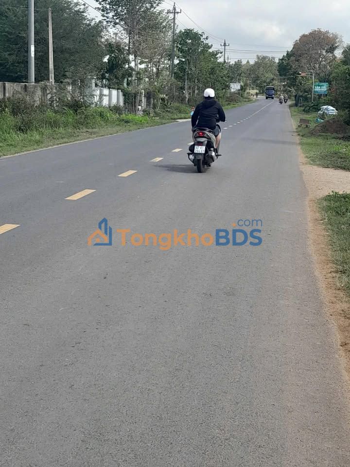 Đất nền 1000m² mặt tiền Tỉnh lộ 9, Krông Bông - Sẵn sàng kinh doanh/kho bãi