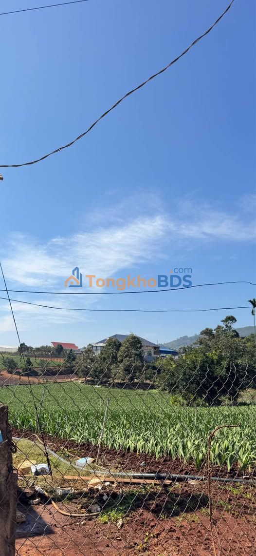 Đất Nền Đức Trọng 320m² - Sổ Đỏ Chính Chủ, Gần Sân Bay Liên Khương