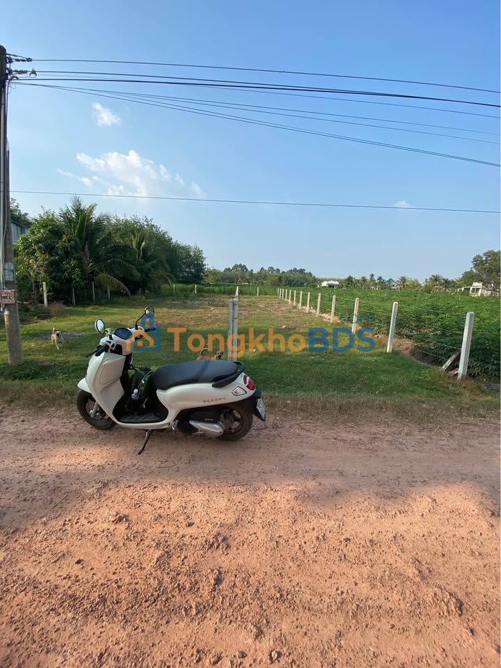 Đất nền Châu Thành, Tây Ninh - 525m² thổ cư, nở hậu tài lộc