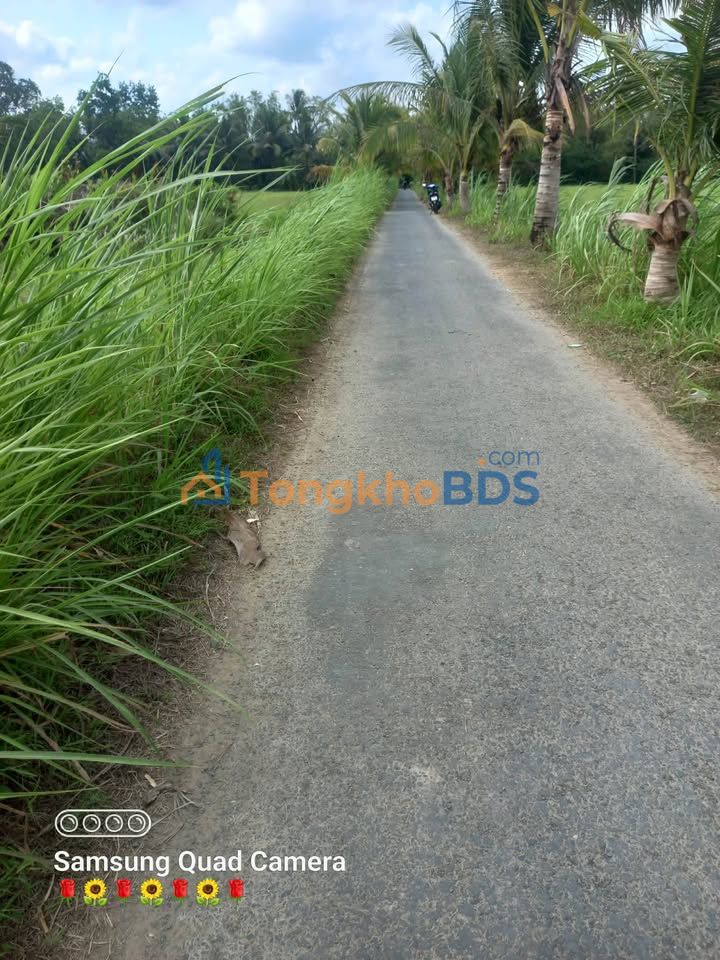 Đất Vĩnh Long 510m² - Mặt Tiền Nhựa 8 Tấn Giá 250 Triệu