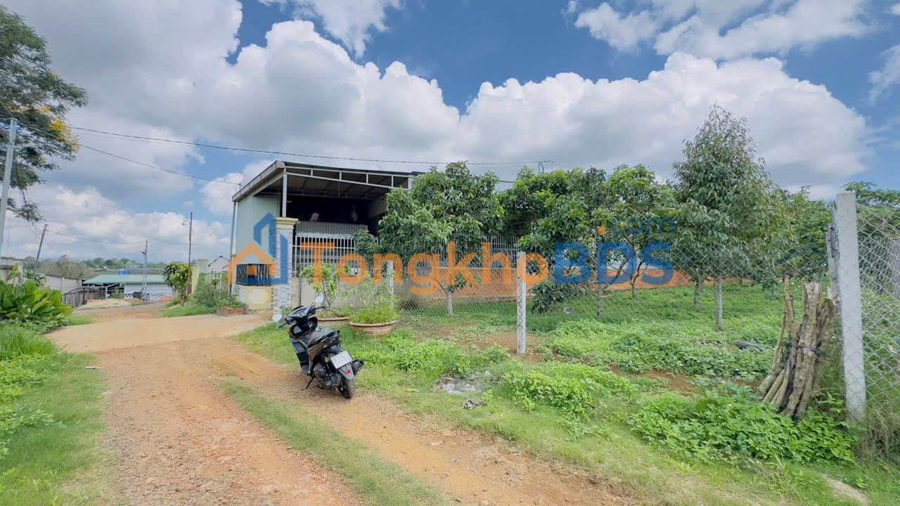 Đất 1000m² Lộc Phát, Bảo Lộc - Sổ Riêng, Giá 3.8 Tỷ - Thích Hợp Mở Phòng Trọ