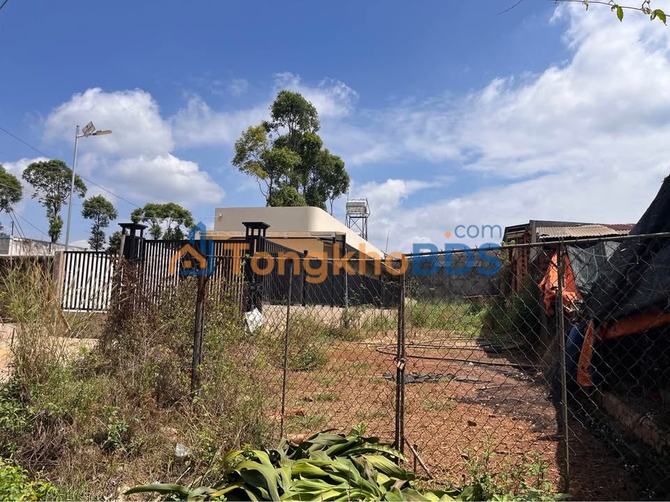 Đất Mặt Tiền Kinh Doanh Xuân Định, Đồng Nai - 322m² Giá Tốt