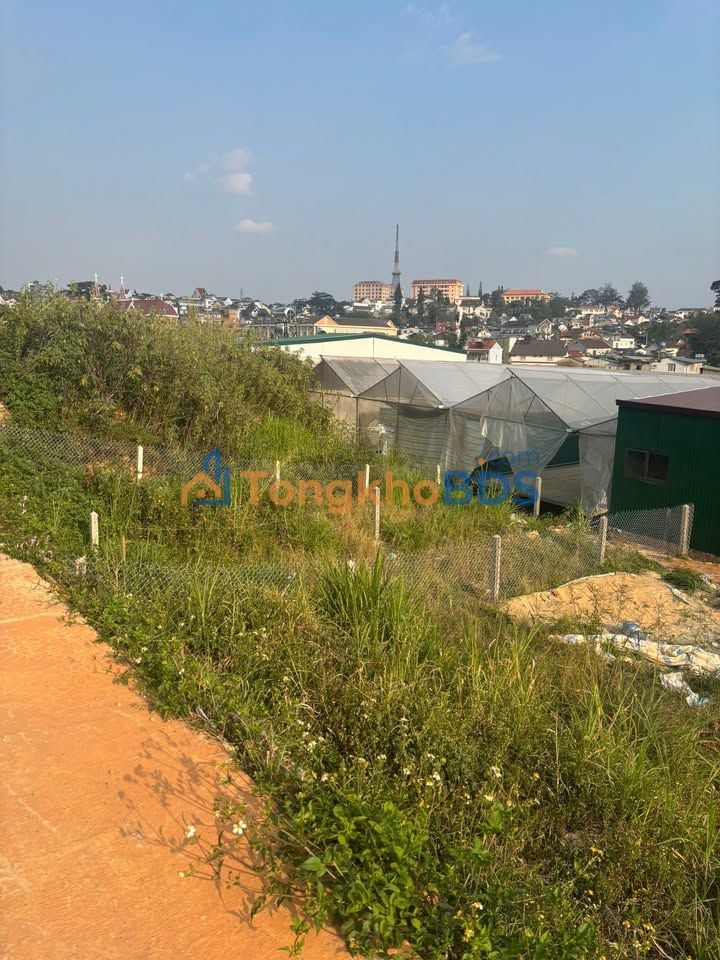 Đất Vàng Phường 6 Đà Lạt 67m² - Sổ Hồng Sẵn Sàng - Giá Đầu Tư 1.2 Tỷ