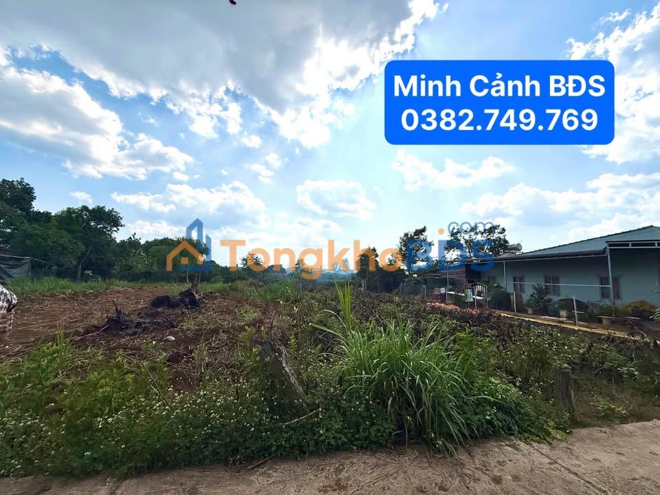 Đất Kinh Doanh Mặt Tiền Tỉnh Lộ 724, Đức Trọng - 1.8 Tỷ, 1044m²