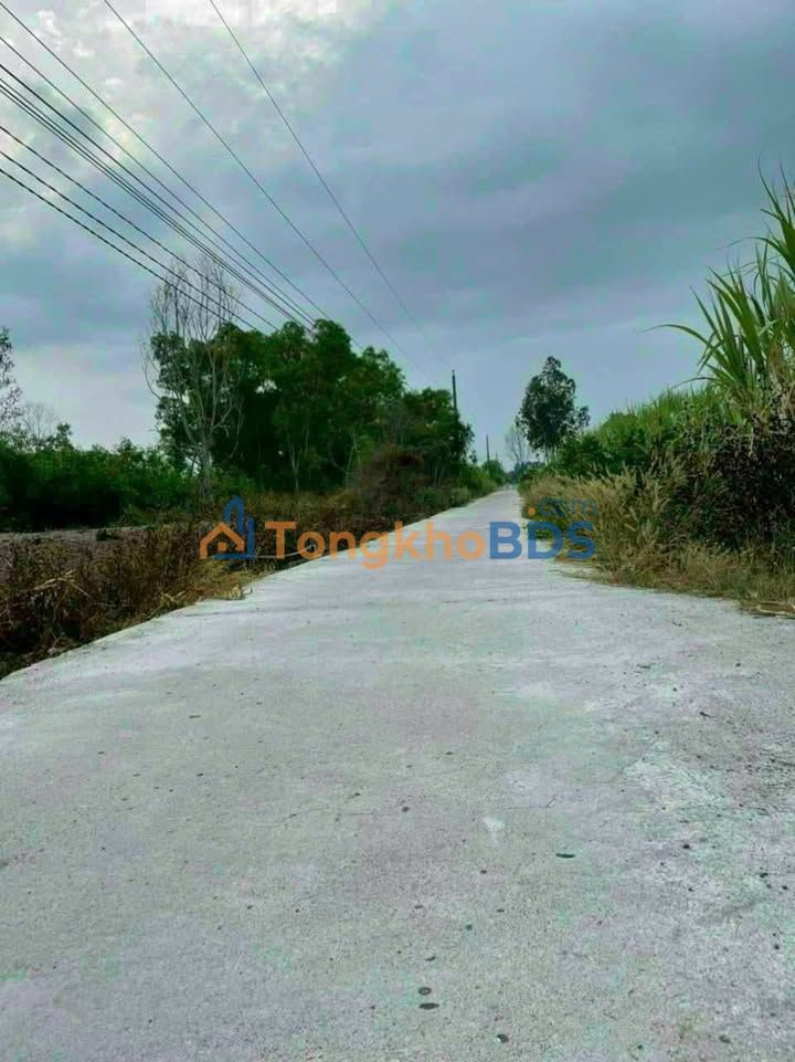 Bán Đất Phường Linh Tây, TP Thủ Đức 1000m² - Sổ Hồng Sẵn Sàng