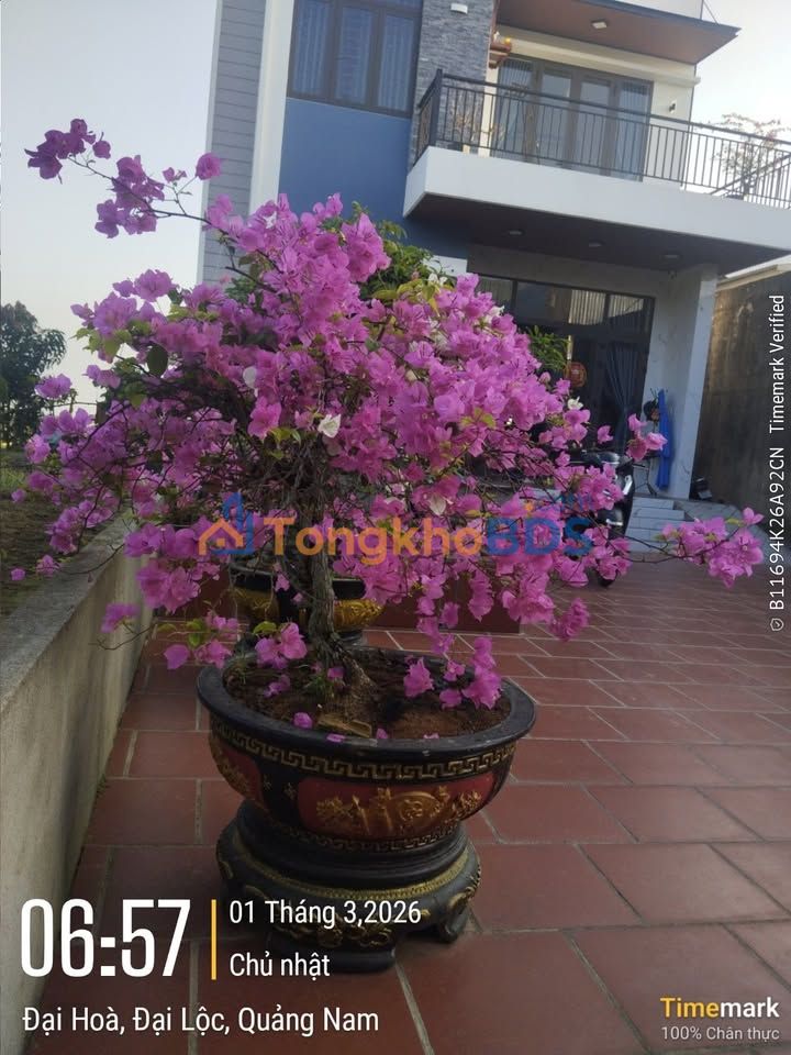 Đất Nền Đại Đồng, Duy Xuyên: 100m², Sổ Hồng Sẵn Sàng - Đầu Tư Hời!