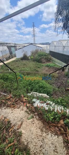 Bán Đất 588m² Mặt Tiền 17m Phường 12 Đà Lạt - Giá 19tr/m²