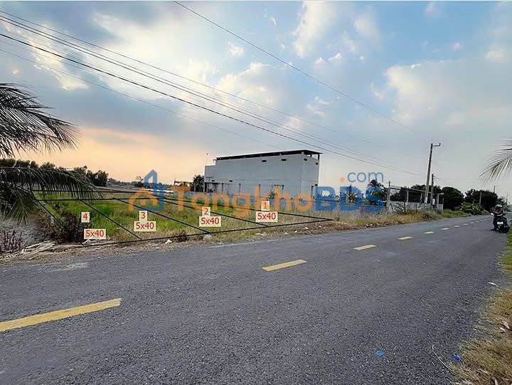 Bán Đất Biệt Thự 1000m² Mặt Tiền Đường Nhựa Đức Huệ - Giá Tốt