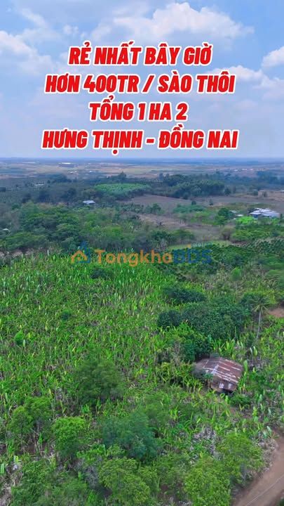 Bán Đất Vườn Đồng Nai 11.700m² Sổ Riêng - Giá Tốt Đầu Tư