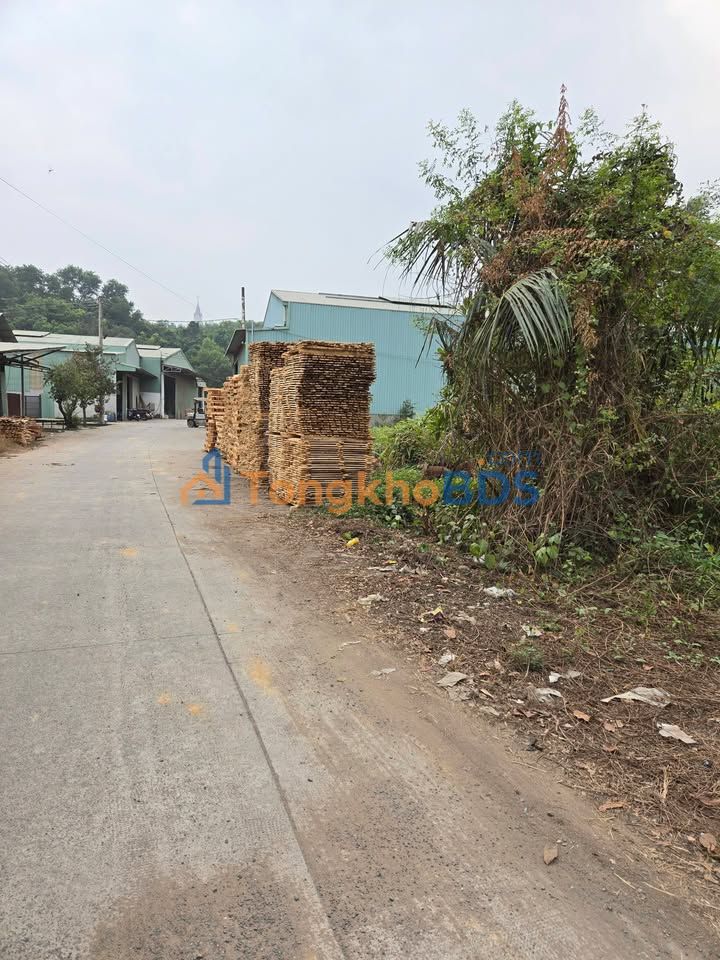 Bán đất 115m² Nhơn Trạch - Vị trí vàng, thích hợp làm nhà xưởng