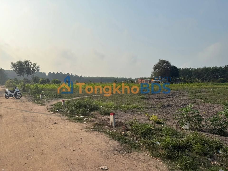 Đất thổ cư 110m² Tân Hội, Tây Ninh - Sổ đỏ sẵn sàng, giá chỉ 220 triệu