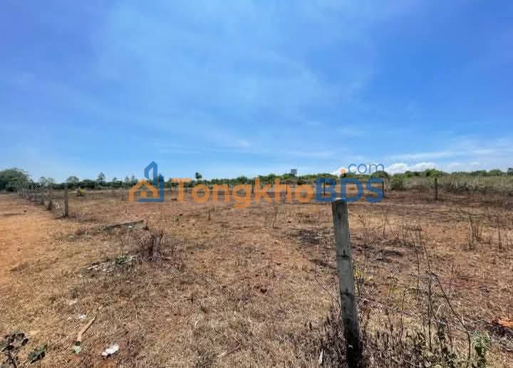 Đất Nền Thuận An 1036m² Sổ Đỏ - Sẵn Sàng Lên Thổ Cư