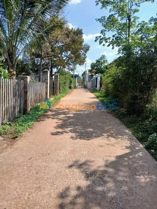 Bán Đất Nền Đăk Mil 192m² - Sổ Đỏ Thổ Cư 100% - Giá F0 850 Triệu