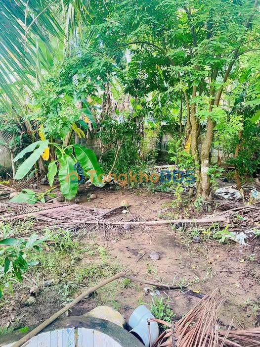 Bán đất Mỏ Cày Bắc, Bến Tre - 3624.7m² - Sổ hồng sẵn, có nhà, hồ cá