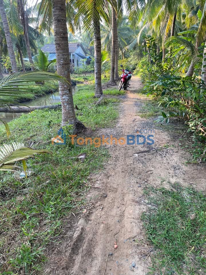 Đất Vườn Bến Tre 475m² - Giá Tốt 270 Triệu, Gần Làng Nghề