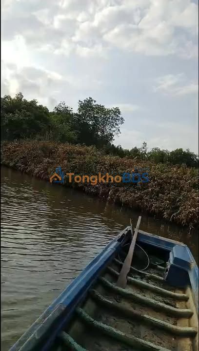 Bán Đất Vườn 7200m² Sổ Hồng Chính Chủ Tại Cà Mau - Giá 2 Tỷ