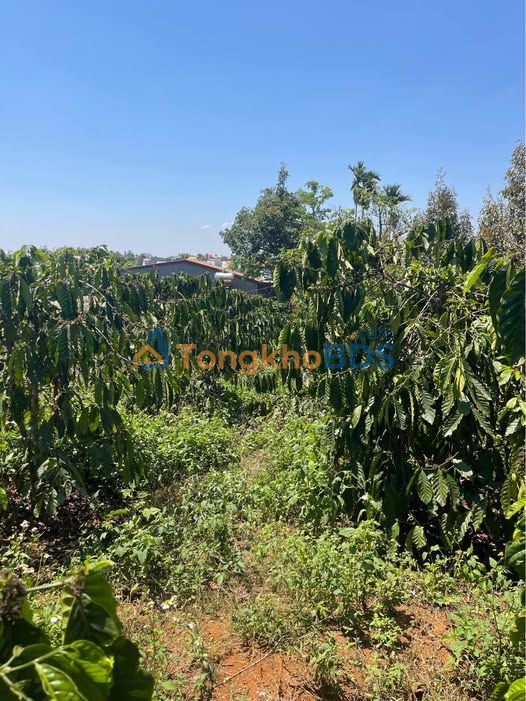 Đất Nền Đắk Nông 374m² - Lô Đẹp Hướng Tốt, Sổ TC