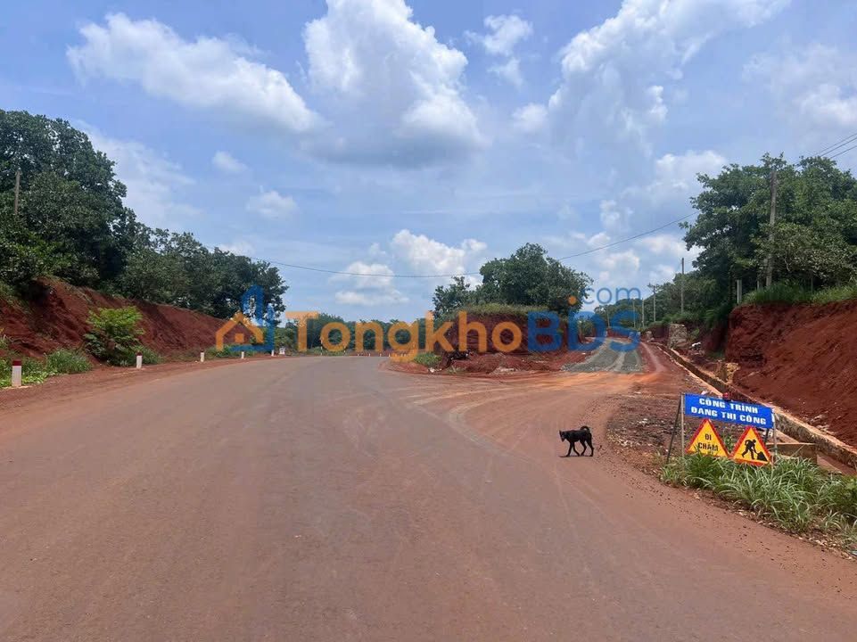 Bán Đất Đường Nhựa 322 Tân Phước, Thủ Dầu Một - 305.5m² - Giá Chỉ Từ 2xx Triệu