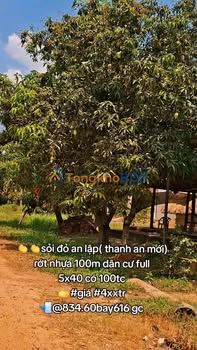 Đất Nền Sổ Đỏ 2000m² An Lập, Dầu Tiếng - Giá Đầu Tư 4xx Triệu