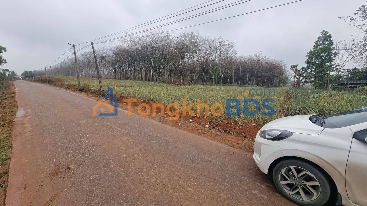 Đất nền Ngọc Lặc 900m² (15x60m) - Mặt tiền nhựa Liên Xã, tiềm năng sinh lời cao