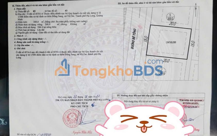 Biệt thự Vũ Oai 300m² Hạ Long - Cắt Lỗ Sâu, Cơ Hội Đầu Tư Vàng