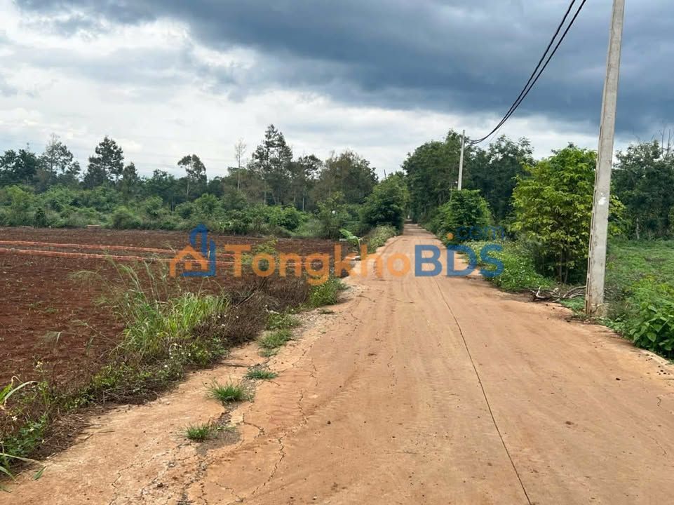 Đất Nền Krông Búk 110m² - Gần QL14, Giá 598 Triệu - Đầu Tư Hời