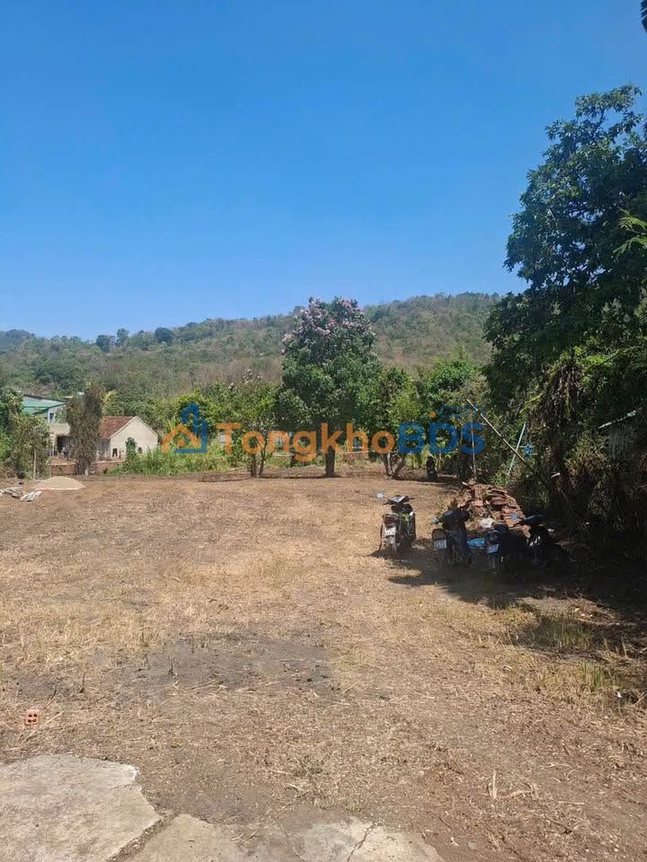 Đất Vườn 4680m² Phường Thành Nhất BMT - Giá Đầu Tư 1.45 Tỷ