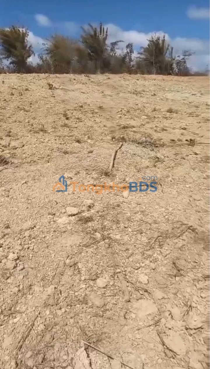 Đất Rẫy 3.2ha Đắk Nông Giá 2.5 Tỷ - Sẵn Sàng Trồng Trọt