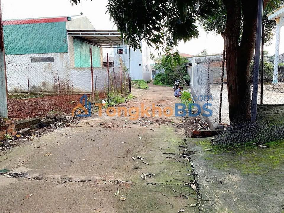 Đất Nền 2 Mặt Tiền Cư Kuin 270m² - Giá 1.39 Tỷ, Gần Chợ Hòa Phú