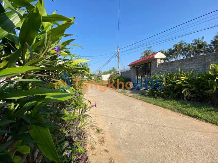 Bán Đất Thổ Cư 255m² Phường An Bình, An Nhơn - Sổ Riêng Sẵn Sàng