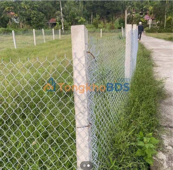 Bán đất trồng cây 210m² Tam Kỳ - Sổ đỏ chính chủ, giá tốt